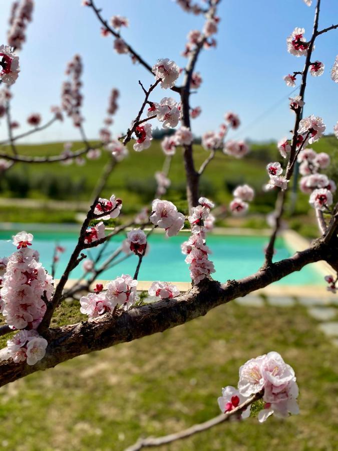 B&B Monte Di Bu Bagno Roselle Zewnętrze zdjęcie