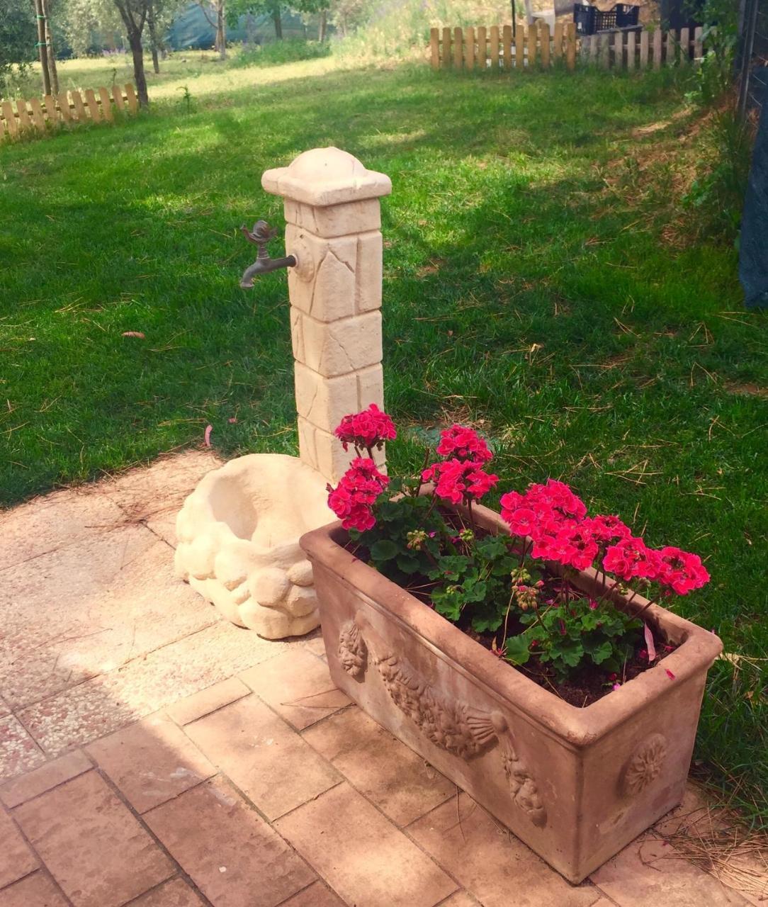 B&B Monte Di Bu Bagno Roselle Zewnętrze zdjęcie